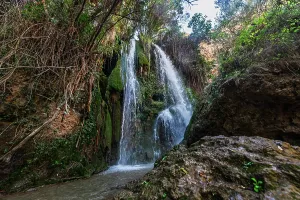 Waterfalls Prints: Twin waterfalls flow into rocky pool surrounded by plants in Granada, Andalusia in Spain