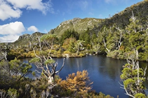 Fall Season Prints: Twisted Lakes, Cradle Mountain-Lake St. Clair National Park, UNESCO World Heritage Site