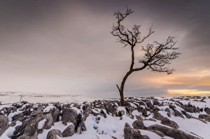 One Object Prints: Twistleton Scar End in snow, Ingleton, Yorkshire Dales, Yorkshire, England, United Kingdom