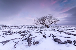 Twistleton Scar End in snow, Ingleton, Yorkshire Dales, Yorkshire, England, United Kingdom