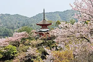 Palette Prints: Two-storied Tahoto Pagoda surrounded by cherry blossoms