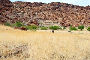 Twyfelfontein, UNESCO World Heritage Site, Damaraland, Kunene Region, Namibia, Africa