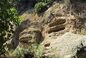 Images Dated 14th August 2008: The Typhoon Tombs, Etruscan Necropolis of Sovana, Sovana, Grosseto, Tuscany