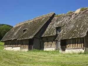 Thatch Collection: Typical ancient thatched and half timbered farm buildings in a meadow, Pierrefitte en Auge
