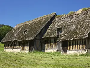 Calvados Prints: Typical ancient thatched and half timbered farm buildings in a meadow