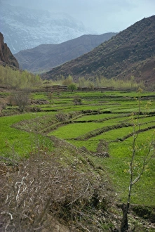 Typical Boyerahmad village