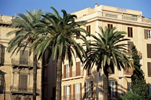 Palma Prints: Typical buildings lining the Borne