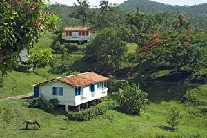 Single Storey Prints: Typical bungalows in the mountain community and tourist centre of Las Terrazas