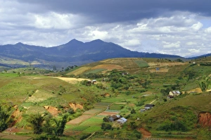 Central Highlands Prints: Typical Central Highlands landscape