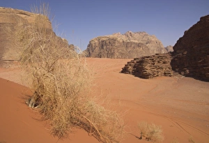 Jordan Prints: Typical desert with red sand