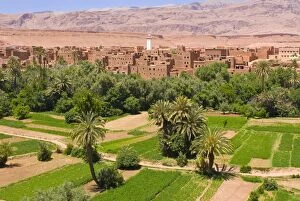 Typical desert village, near the Todra Gorge, Morocco, North Africa, Africa