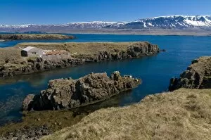 Images Dated 7th June 2009: Typical fjord landscape on coast, Vopnafjordur, Iceland, Polar Regions