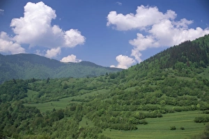 Slovak Republic Prints: Typical hilly landscape