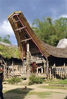 Toraja Prints: Typical house and granary