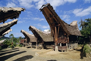 Typical houses and granaries