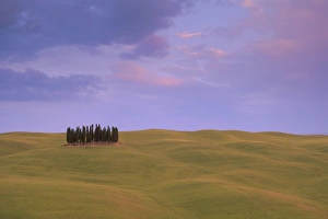 Typical landscape