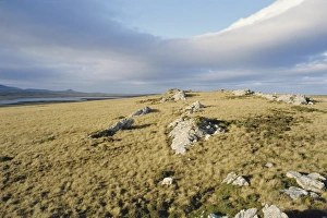 Islas Malvinas Prints: Typical landscape, East Falklands, Falkland Islands, South Atlantic
