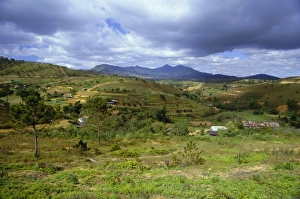Da Lat Prints: Typical landscape near Dalat