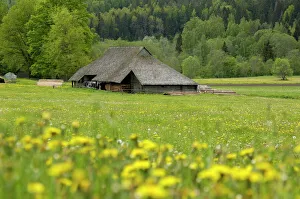 Meadow Prints: Typical Latvian farmstead