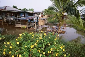 Stilt House Prints: Typical Malaysian stilt house at Sarikei on Rejang River
