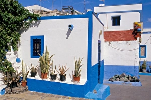 Pot Plant Prints: Typical old fishermans house, Puerto de las Nieves, Gran Canaria, Canary Islands