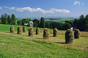 Typical Polish landscape near Zacopane