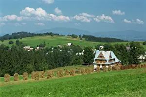 Poland Prints: Typical Polish landscape near Zakopane in the Tatra Mountains