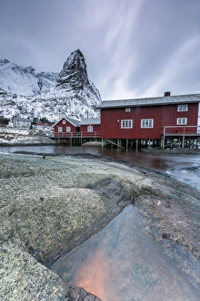 Stilt House Prints: Typical red houses of fishermen called Rorbu, Reine. Lofoten Islands, Northern Norway