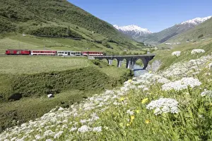 Canton Of Uri Prints: Typical red Swiss train on Hospental Viadukt surrounded by creek and blooming flowers