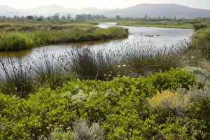 Typical Sardinian landscape, water pond and mountains in the background, Costa degli Oleandri