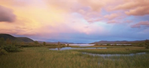 Lappland Prints: Typical scenery in Laponia