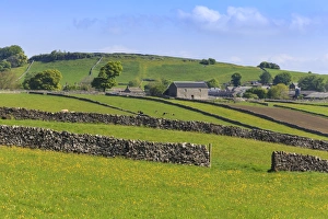 Typical spring landscape of village, cattle, fields, dry stone walls and hills, May