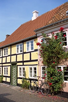 Aero Prints: Typical street of pastel houses, Aeroskobing, Aero, Denmark, Scandinavia, Europe