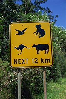 Road Signs Prints: Typical traffic sign, Australia, Pacific