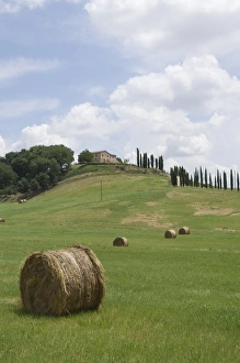 Images Dated 11th September 2007: Typical view of the Tuscan landscape