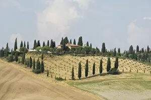 Images Dated 11th September 2007: Typical view of the Tuscan landscape