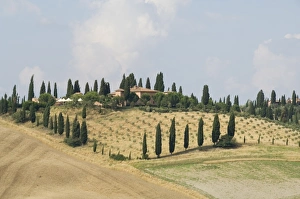 Images Dated 11th September 2007: Typical view of the Tuscan landscape