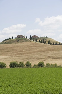 Le Crete Prints: Typical views of the Tuscan landscape