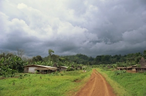 Dirt Roads Prints: Typical village in western Cameroon, Africa