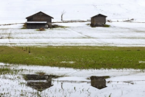 Typical Walser houses reflected in pond, Versam, Safiental, Surselva, Graubunden