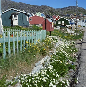 Julianehab, Greenland, Polar Regions