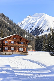 Chalet Prints: Typical wooden hut framed by woods and snowy peaks, Langwies, district of Plessur