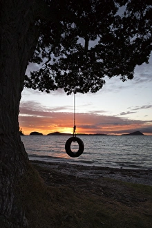 Long Bay Prints: Tyre Swing at Long Bay, Coromandel