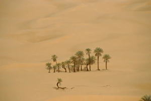 Illustration Prints: Ubari Sand Sea