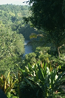 Ubud area, Bali