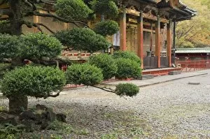 Images Dated 28th November 2007: Ueno Toshogu Shrine, Tokyo, Central Honshu (Chubu), Japan, Asia