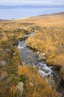 Moor Prints: Uisge Soluis Mhoir, burn on the walk up to Coire-Fhionn Lochan