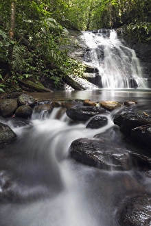 Ula Temburong National Park, Brunei, Borneo, Southeast Asia, Asia