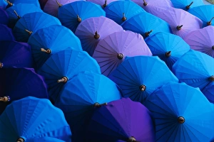 Purple Prints: Umbrellas, Bo Sang