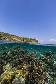 Marine Reserve Prints: Underwater reef system of the Marine Reserve on Moya Island